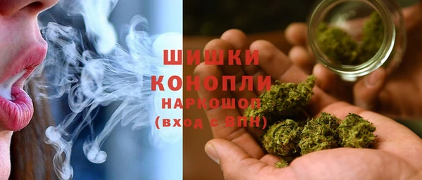 шишки Беломорск