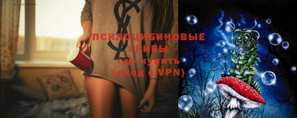 шишки Беломорск
