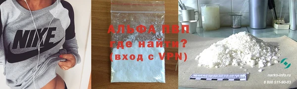 шишки Беломорск