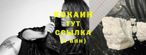шишки Беломорск