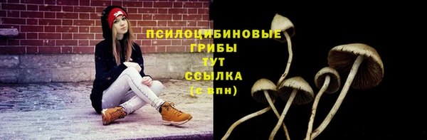 шишки Беломорск