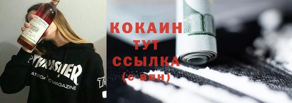 шишки Беломорск