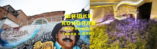 эйфоретик Белокуриха