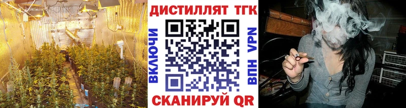 hydra tor  Волосово  ТГК THC oil 