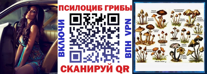 Галлюциногенные грибы ЛСД  Волосово 